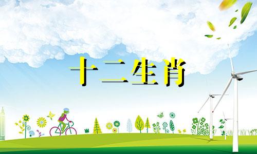2023年属鸡人的吉祥颜色是什么?