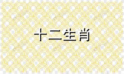 属鸡在2023年的运势好不好呢