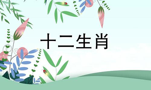 2023年属鸡人桃花运势如何呢