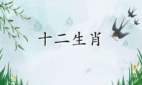 2023年属鸡女是否犯太岁呢