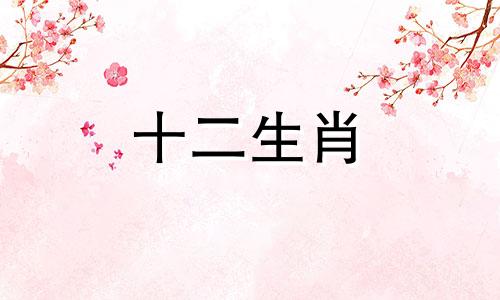 属鸡人如何提升事业运势 属鸡人如何提升运气