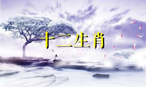 属鸡人二婚的原因是什么意思