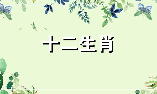 十二生肖中的鸡最适合哪个生肖的女人