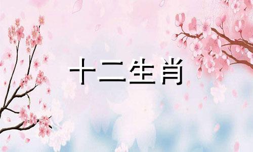 1970年属狗人2023年运势及运程