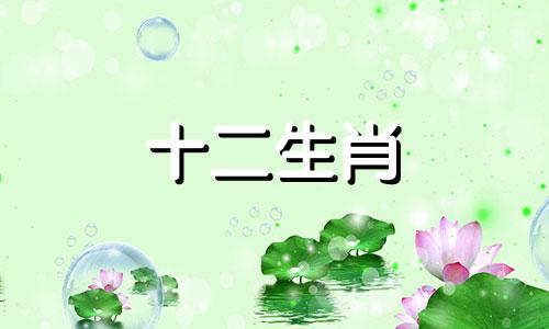 属鸡女与哪些生肖可以组成最佳婚配对象呢