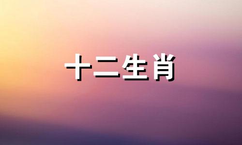 2023年属狗的人的工作和事业会有怎样的发展趋势？风生水起还是乌云遮顶？