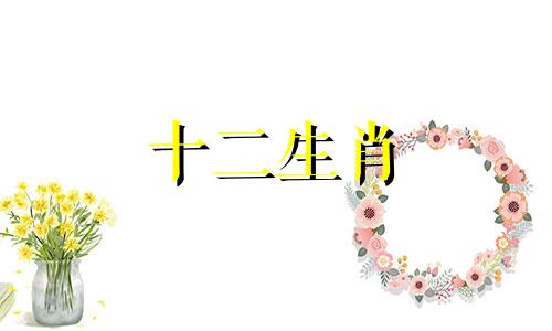 2024狗人全年每月运势如何