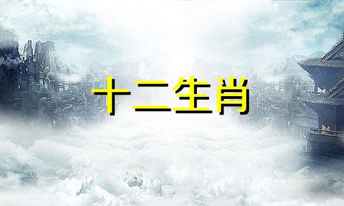 如何提升属狗人2023年5月的运势?运气是否能改变呢
