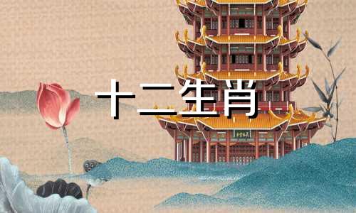 属狗人在2023年是否适合怀孕生兔宝宝？孩子的出生能增强父母的运势吗？