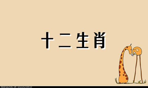2023年属狗女人的全年运势详解