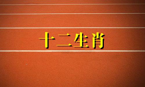 1970年属狗人未来十年大运