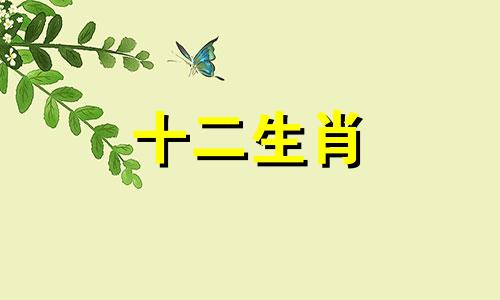1982年出生的属狗人的最佳婚姻伴侣是谁呢