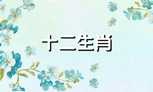 2023年5月属狗人的健康运势怎么样呢