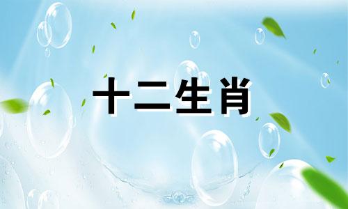2006年出生的属狗人2023年的健康运势如何呢