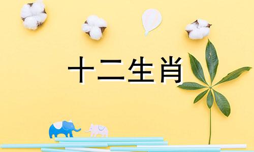 属猪女旺财的背影头像 属猪女用什么微信头像招财