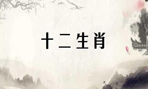 1959年属猪的在2022年的命运