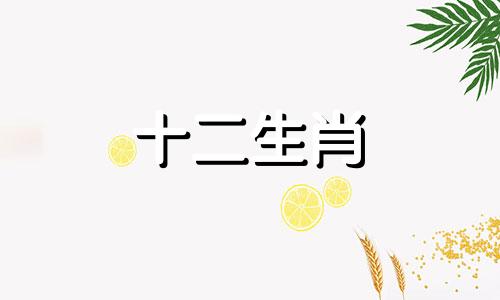 1995年属猪人2023年6月运势怎么样