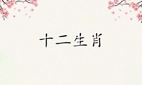 属猪如何摆脱孤独的人 属猪的人注定孤独一生