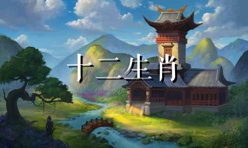 属猪的2022年适合开店吗 属猪2021年适合做生意吗