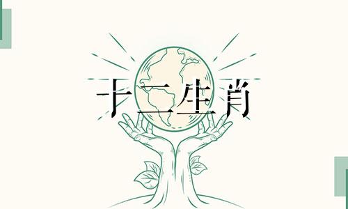 属猪2024年运势及运程每月运程