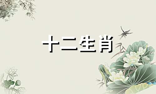 52岁属猪人2023年感情婚姻运势详解,甜蜜和睦好吗