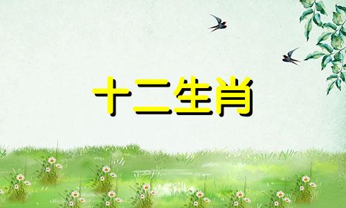 2007年属猪女孩在2022年中考运势