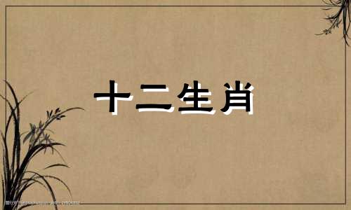 1995属猪男在2023年的感情婚姻发展如何呢