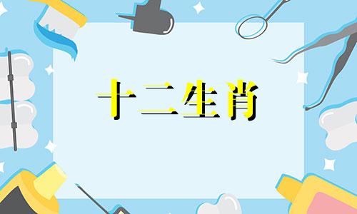 1983年的属猪人在2023年的运势及运程详解视频