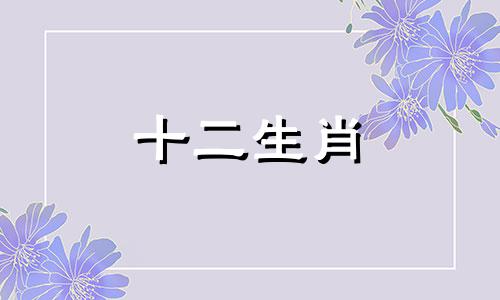 2007年出生的属猪人2023年的健康运势好不好呢