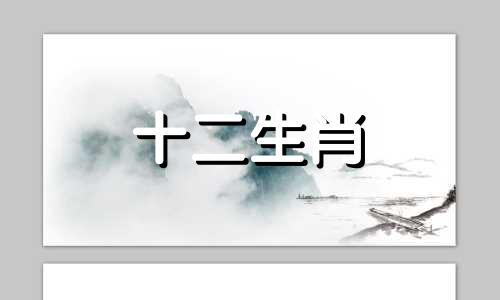 属猪人改变运势最快的方法是什么呢