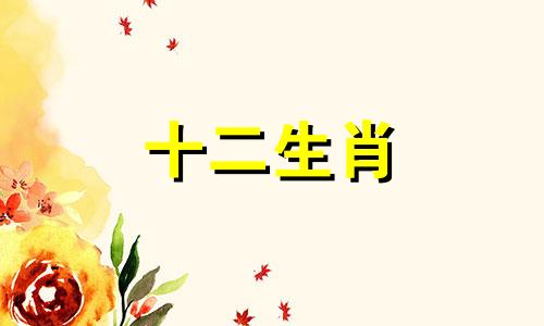 1983年出生的属猪女2023年下半年运气如何呢