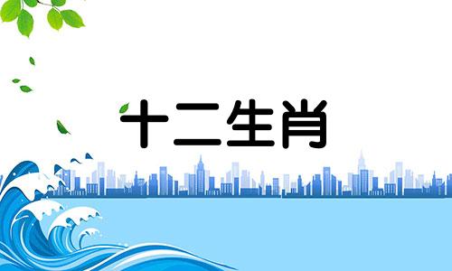 属猪2023年4月运势及运程解读大全