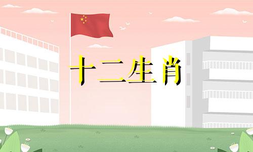 2023年什么颜色是属猪人的吉祥色呢