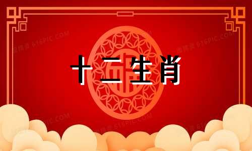 2023年生肖猪的子女运势如何呢