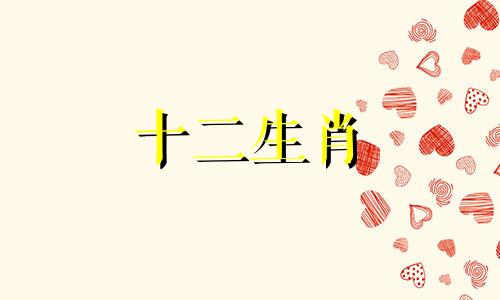 属猪女对一个人感兴趣会做出哪些反应呢