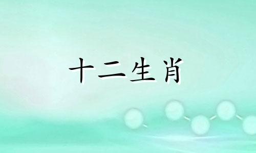 2020年属猪用什么微信头像好