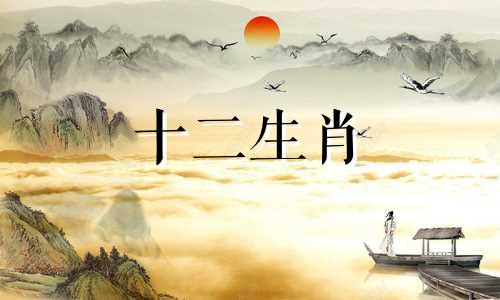 属猪人出生在哪几天命运比较好呢