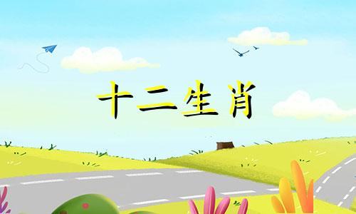 两个98属虎的人可不可以结婚呢