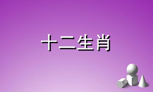 如何增强鼠兔之间的感情稳定性呢