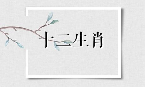 蛇男和鼠女结婚婚姻生活会幸福吗视频