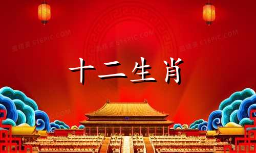 两个属牛的人是否相配 配对优缺点