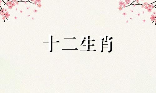 属牛人要远离属马人的原因是什么