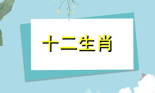 属猴男和属猴女的组合怎么样呢