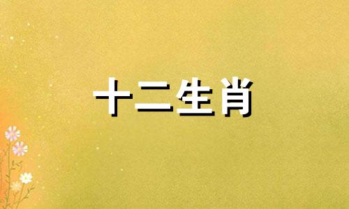属猴与属猪的在事业上合作怎么样啊