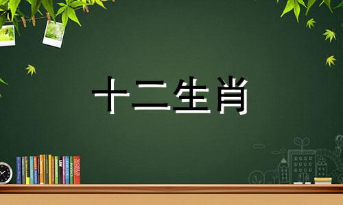 1971年的猪和1969年的鸡结婚好吗?