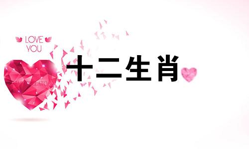 第一次见就有好感的人 对第一次见面的女生有好感