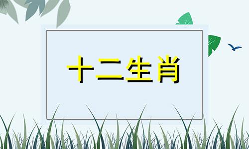 2022年哪些生肖属相的人不适合升牛宝宝呢