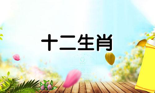 鼠马相冲如何化解女儿属马