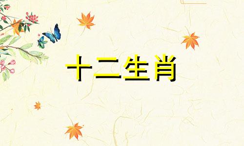 为什么说鼠兔相刑反而好,父母属马