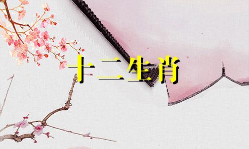 爱体育的人很在乎身材的生肖有哪些
